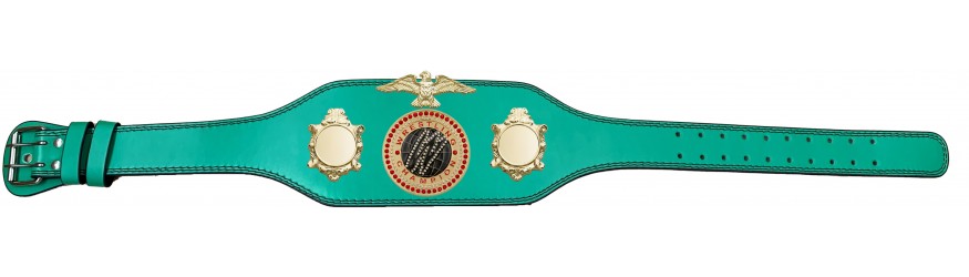 WRESTLING CHAMPIONSHIP BELT-BUD004/G/WRESTGEMG-4 COLOURS